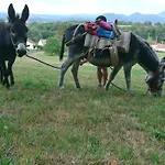 Bed & Breakfast Roulotte Le Temps De Rever 3*