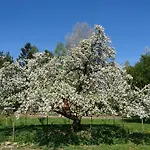 Roulotte Le Temps De Rever Bed & Breakfast 3*