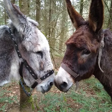 Roulotte Le Temps De Rever 3*