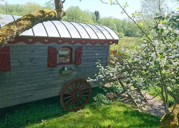 Roulotte Le Temps De Rever 住宿加早餐酒店 Saint-Michel-sur-Meurthe