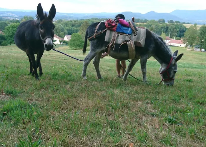 住宿加早餐酒店 Roulotte Le Temps De Rever 3*