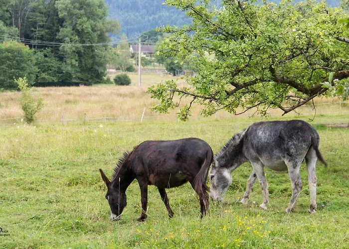 住宿加早餐酒店 Roulotte Le Temps De Rever 3*