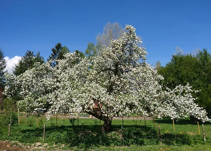 Roulotte Le Temps De Rever 住宿加早餐酒店 3*