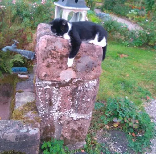 Roulotte Le Temps De Rever Saint-Michel-sur-Meurthe