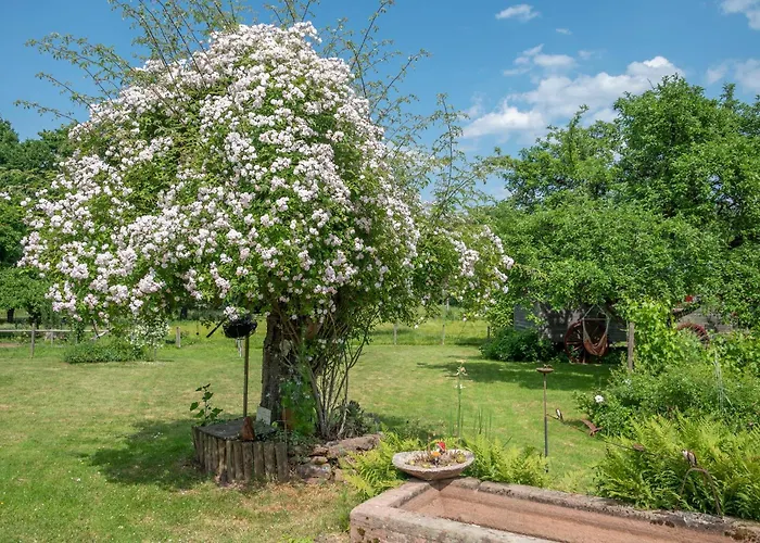 Roulotte Le Temps De Rever Saint-Michel-sur-Meurthe