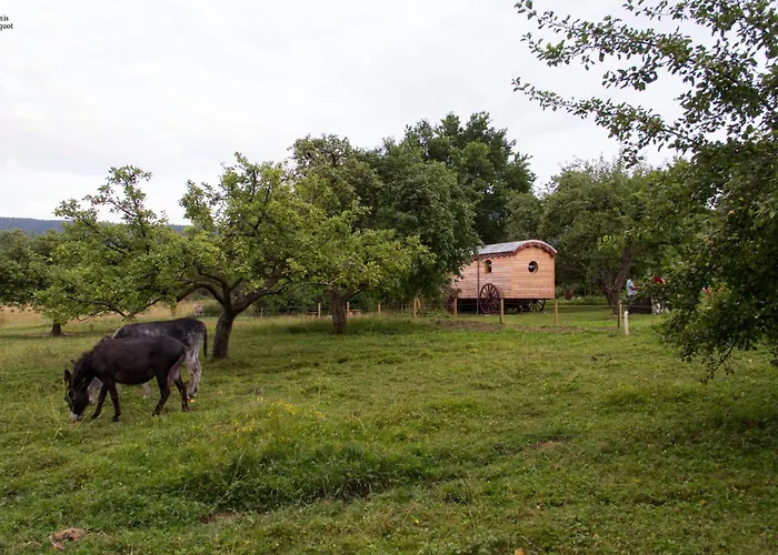 住宿加早餐酒店 Roulotte Le Temps De Rever Saint-Michel-sur-Meurthe