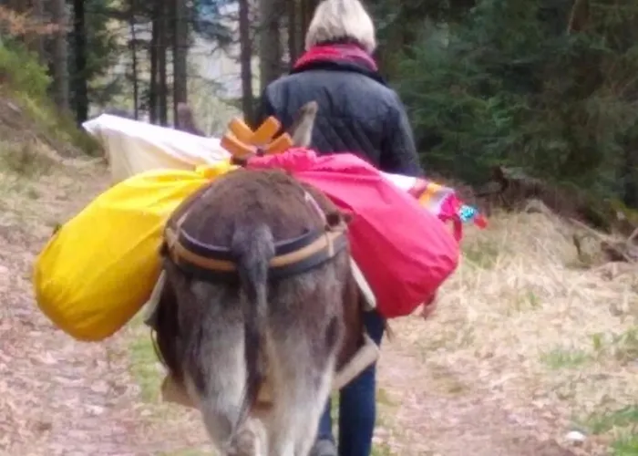 Roulotte Le Temps De Rever 住宿加早餐酒店 Saint-Michel-sur-Meurthe